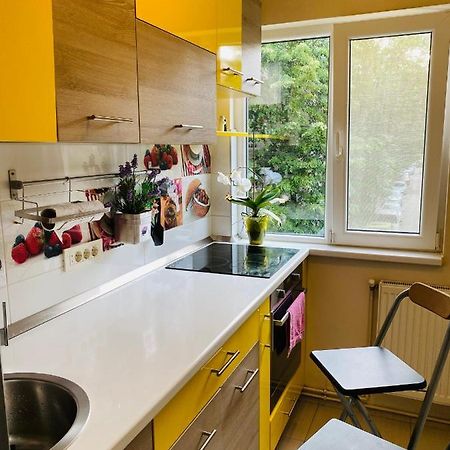 City Center Apartment 티미쇼아라 외부 사진