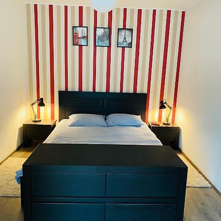 City Center Apartment 티미쇼아라 외부 사진