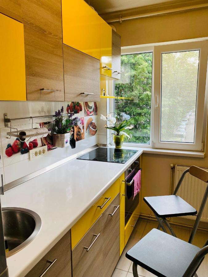 City Center Apartment 티미쇼아라 외부 사진