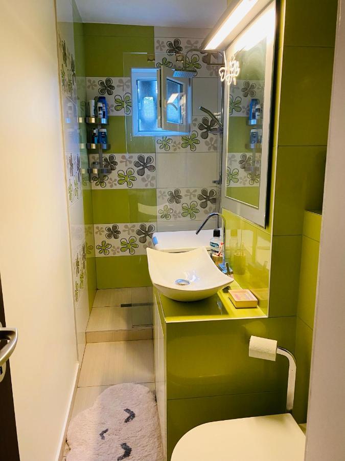 City Center Apartment 티미쇼아라 외부 사진