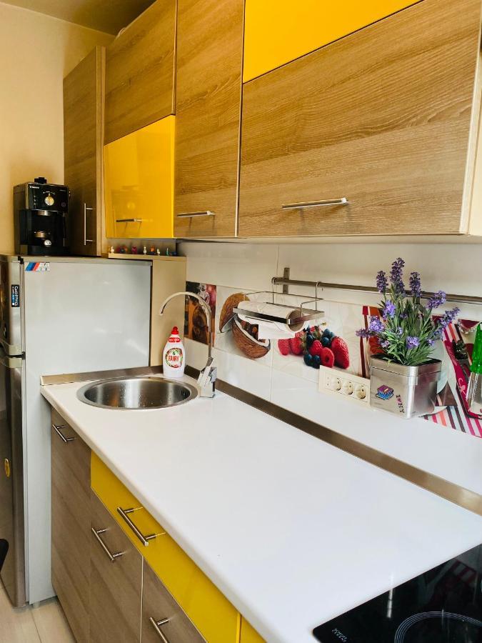City Center Apartment 티미쇼아라 외부 사진
